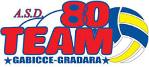 Logo Team 80 volley