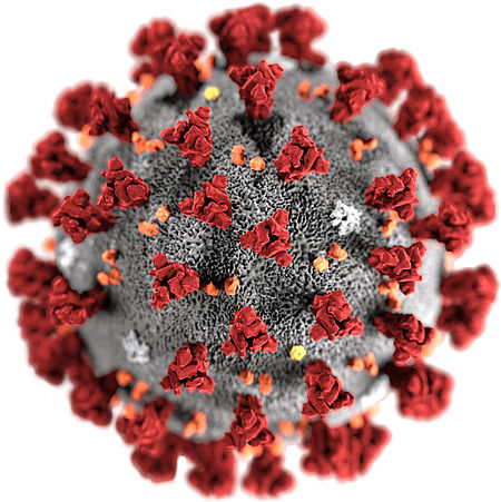 immagine microscopica virus