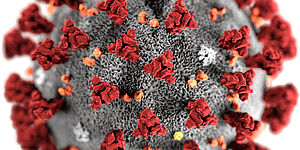 immagine microscopica virus