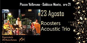 Red Roosters Acoustic Trio